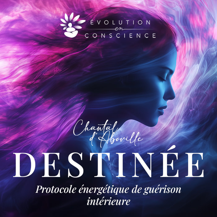 Formation Heal In avec Mika Denissot